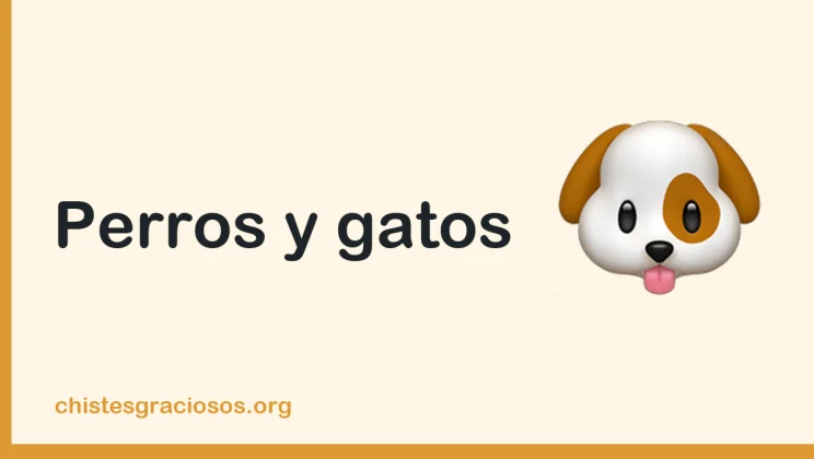 Chistes de perros y gatos para amantes de mascotas