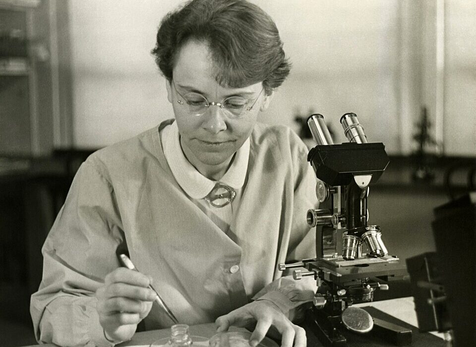 biology microscope laboratory