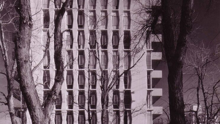 Chistes de Jubilados: El Humor de la Pensión y la Libertad