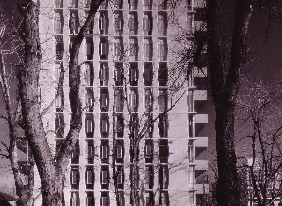 senior citizen retired